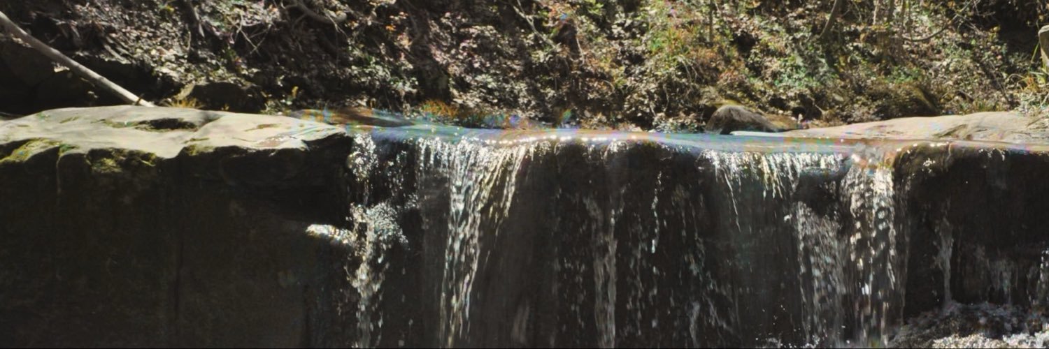risahlicious's profile banner image