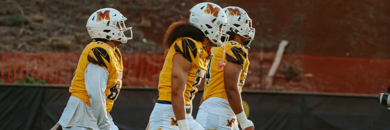 Samson TOA Satele banner