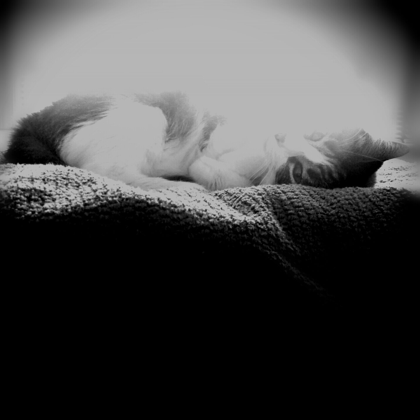 givn2sin's profile banner image