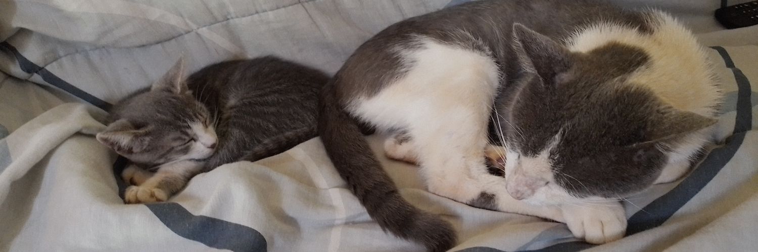 BrunoSemMae's profile banner image