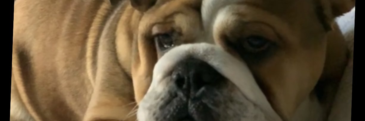 Lotty 🏀🎮 banner