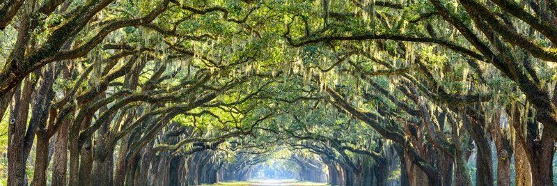 Jammy Groves 📸🍓🤡 banner