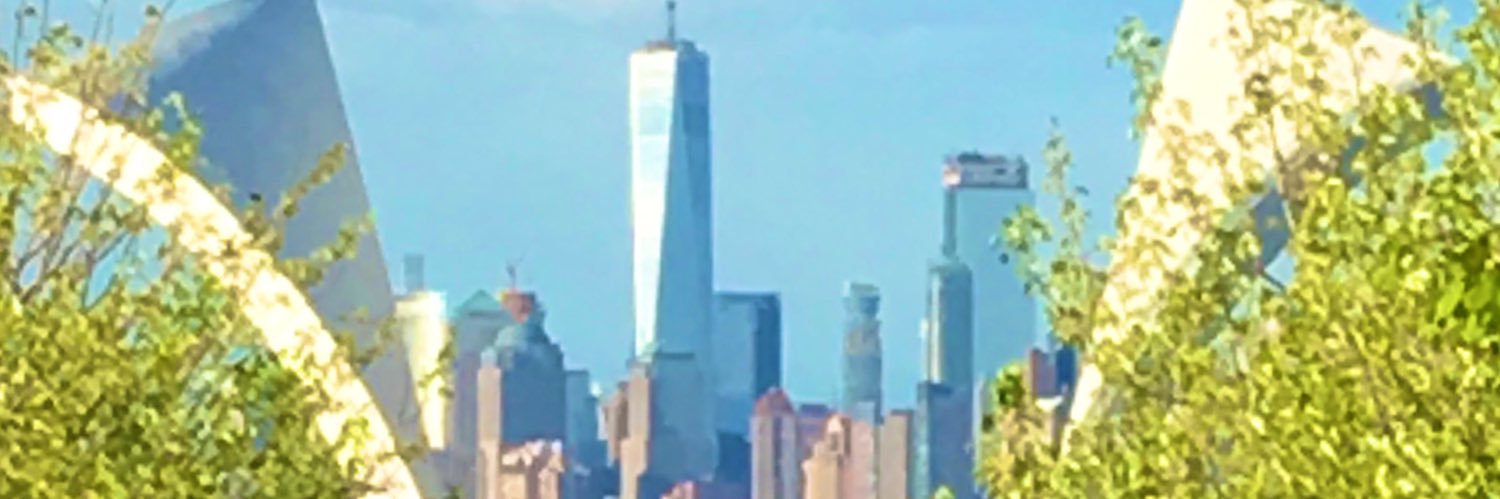 Steve Allen banner