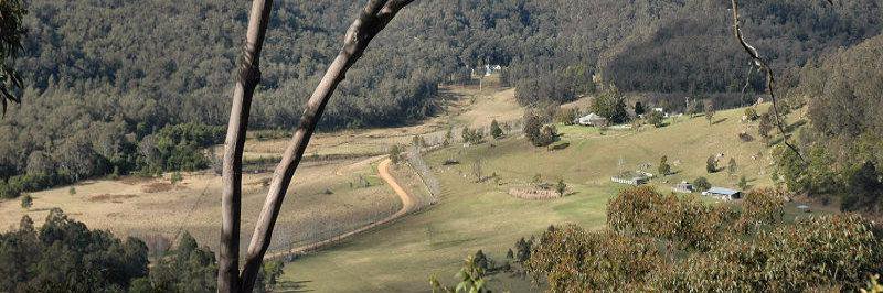 Frank Ashe 🇵🇸 banner