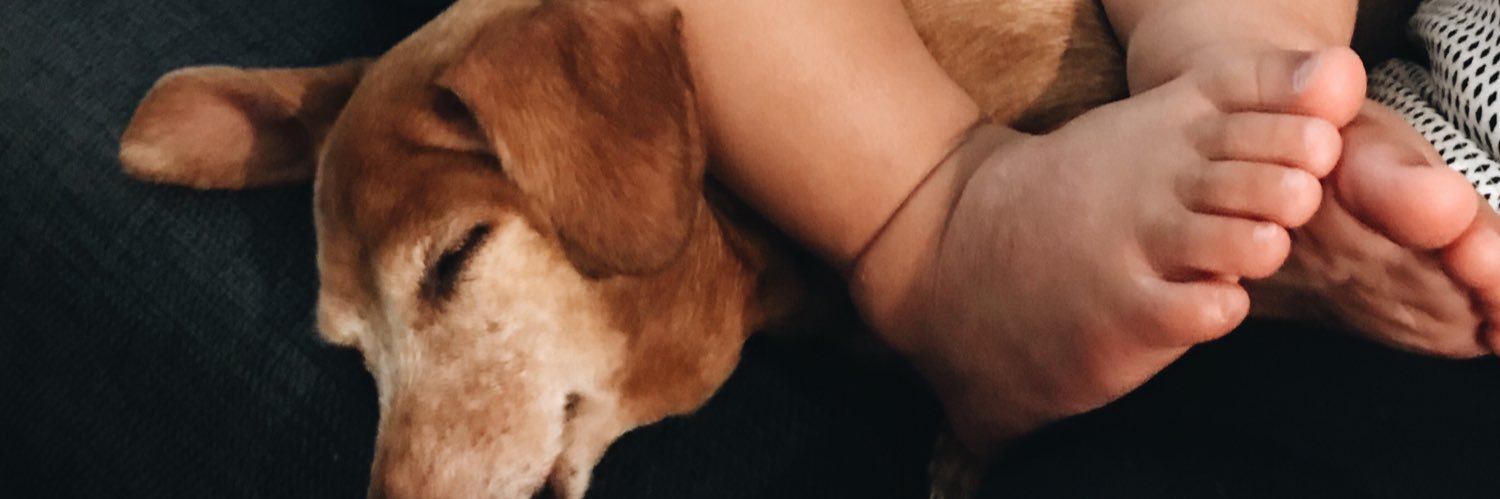 jonanth0ny's profile banner image
