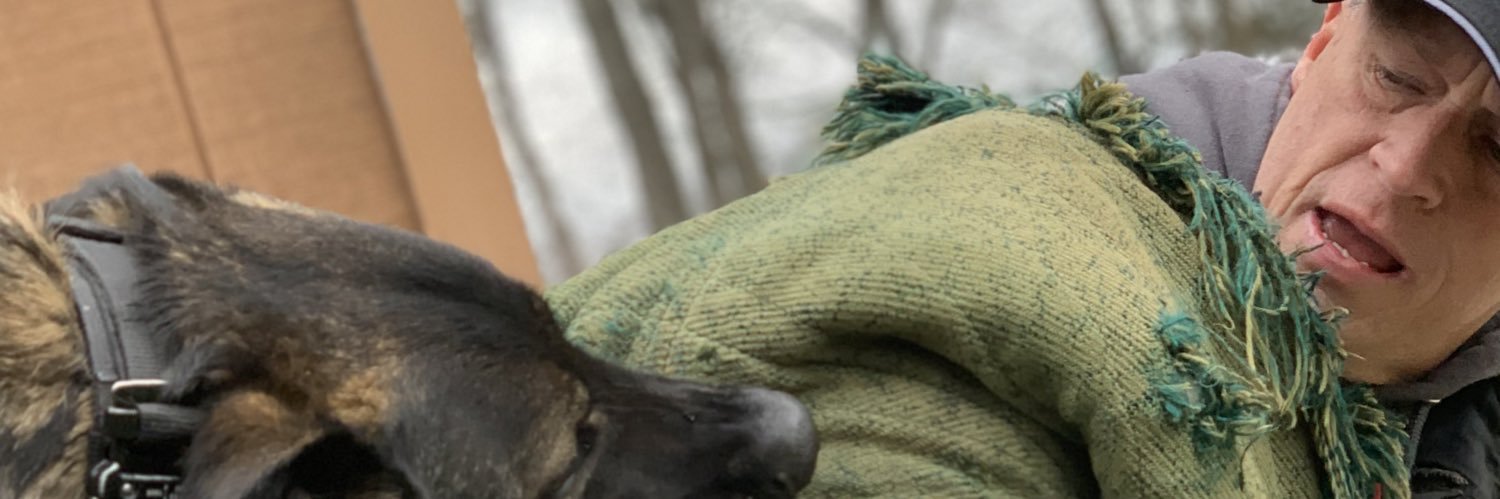 vanessk9's profile banner image