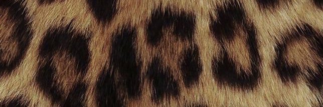 Kafavalisii banner
