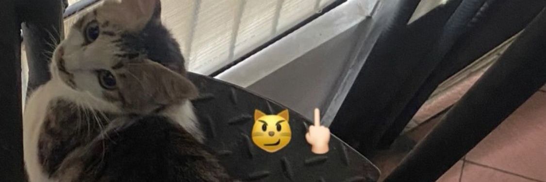 FarelAjja2's profile banner image