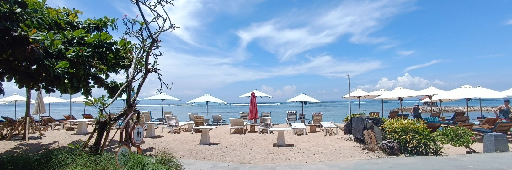 thisAdzania's profile banner image