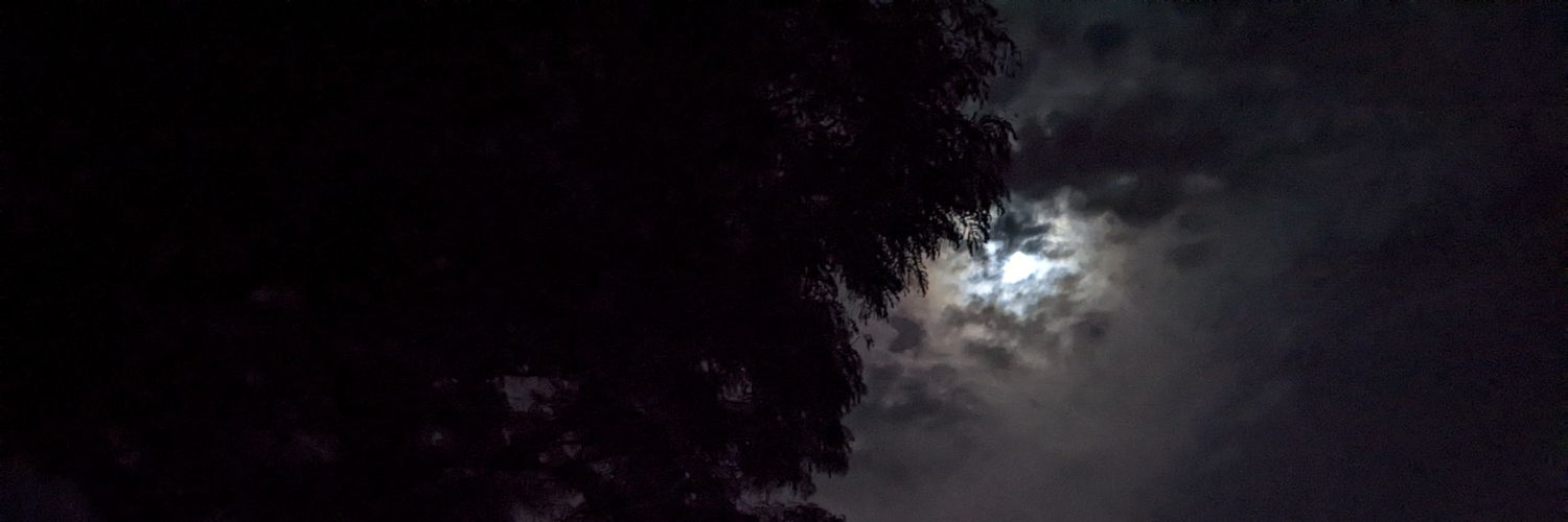 subjectifly's profile banner image