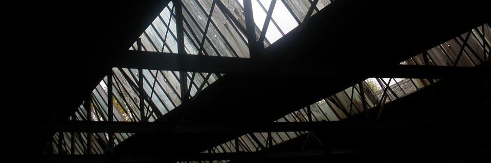 phyl_joy's profile banner image