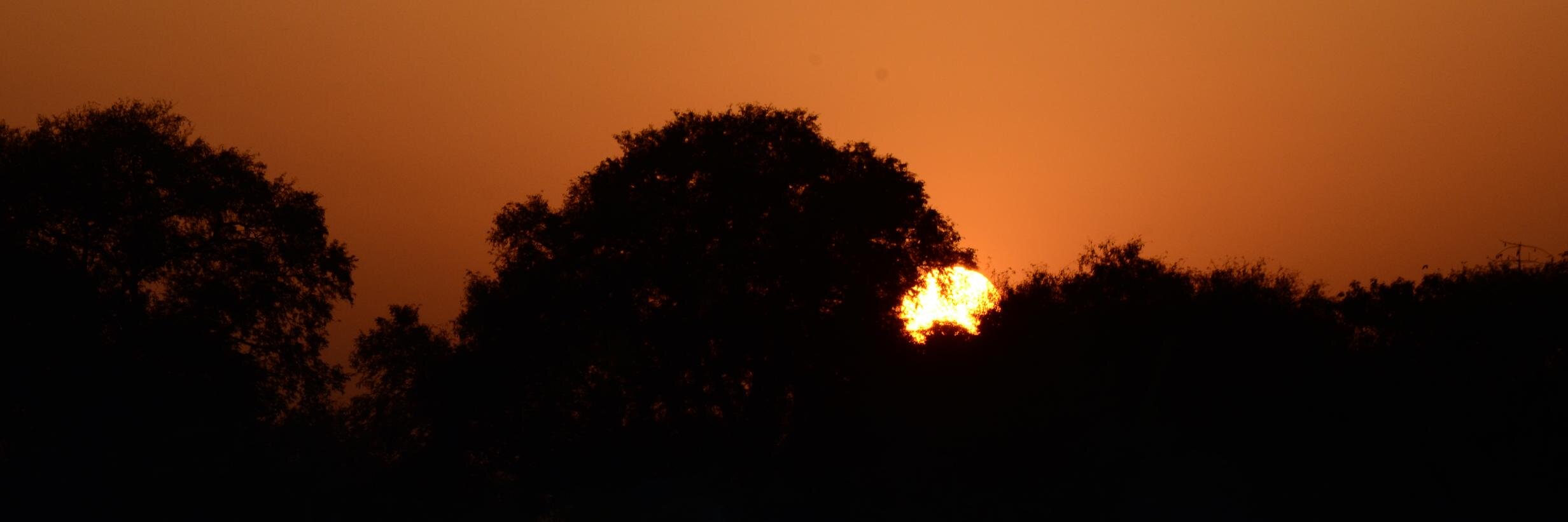 kirankullu's profile banner image