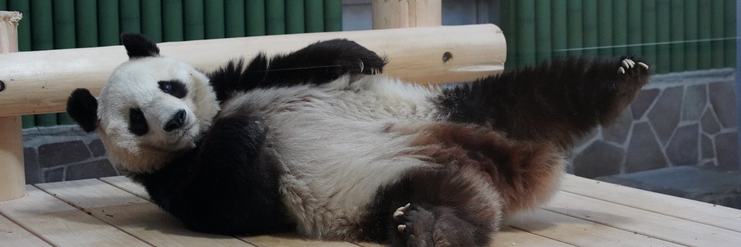 おあうぐ@京都ﾌﾚﾁG-15/16 banner