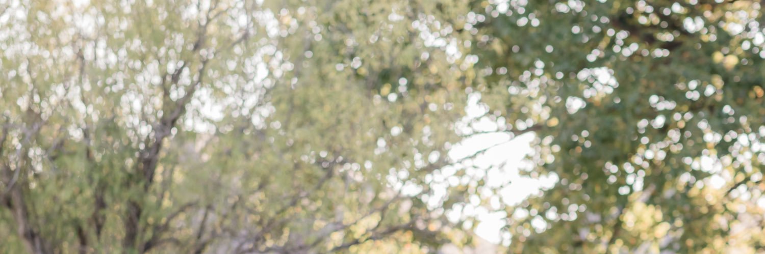 Dave Statham banner