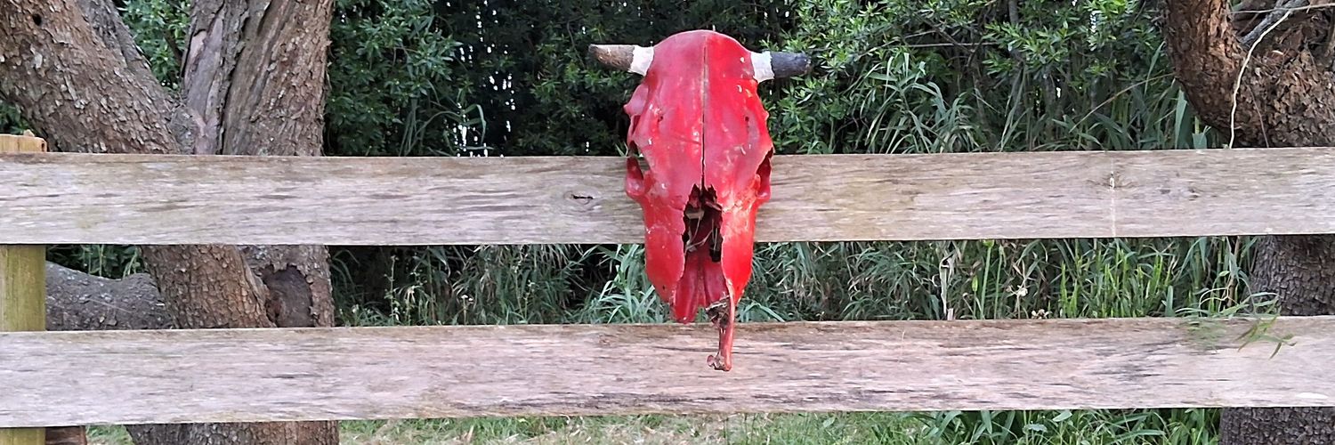 🎨Linng Cardozo 🇺🇾 banner