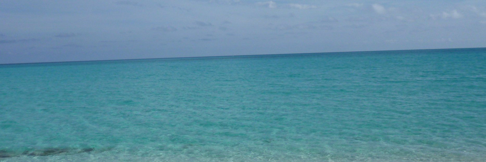 joaquinmonzon's profile banner image
