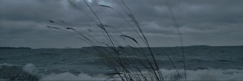 Rituals❤️ Memecoin banner