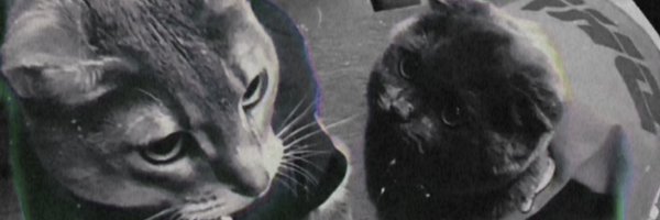 Zoa_Kwon_ Profile Banner