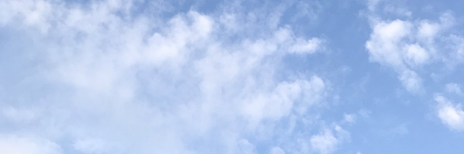 alizahAP's profile banner image