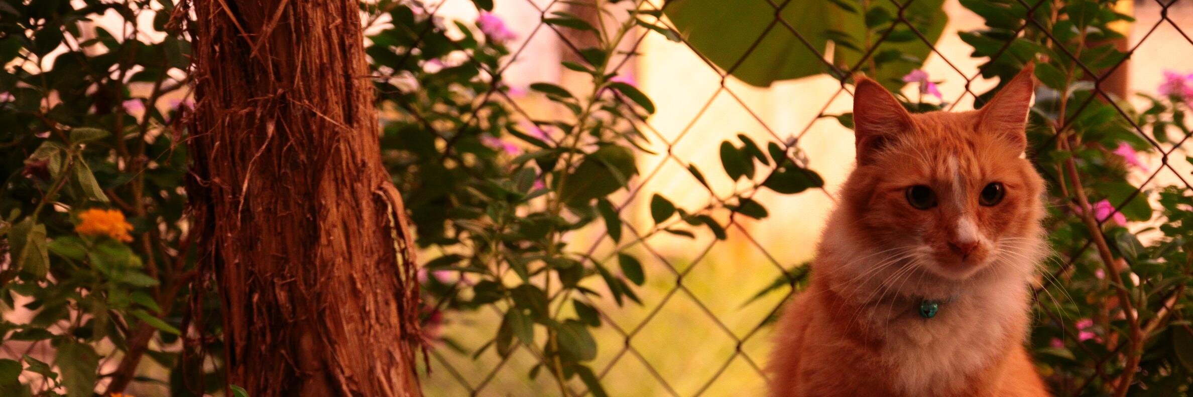 FqhShz's profile banner image