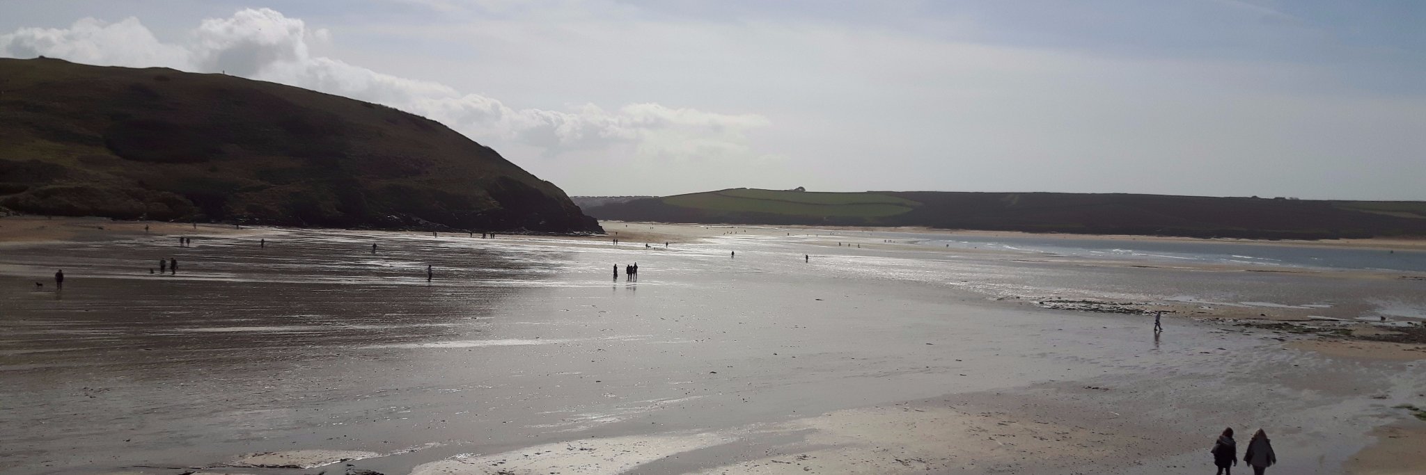 Lynn File, Brand Innovation banner