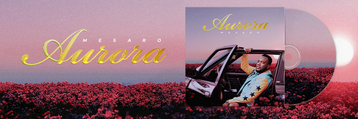 MrMesaro's profile banner image