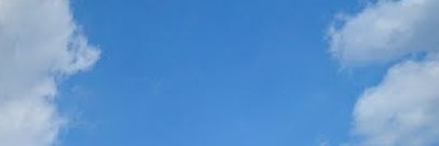 mini duck banner