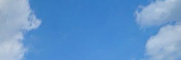 duckmini08 Profile Banner