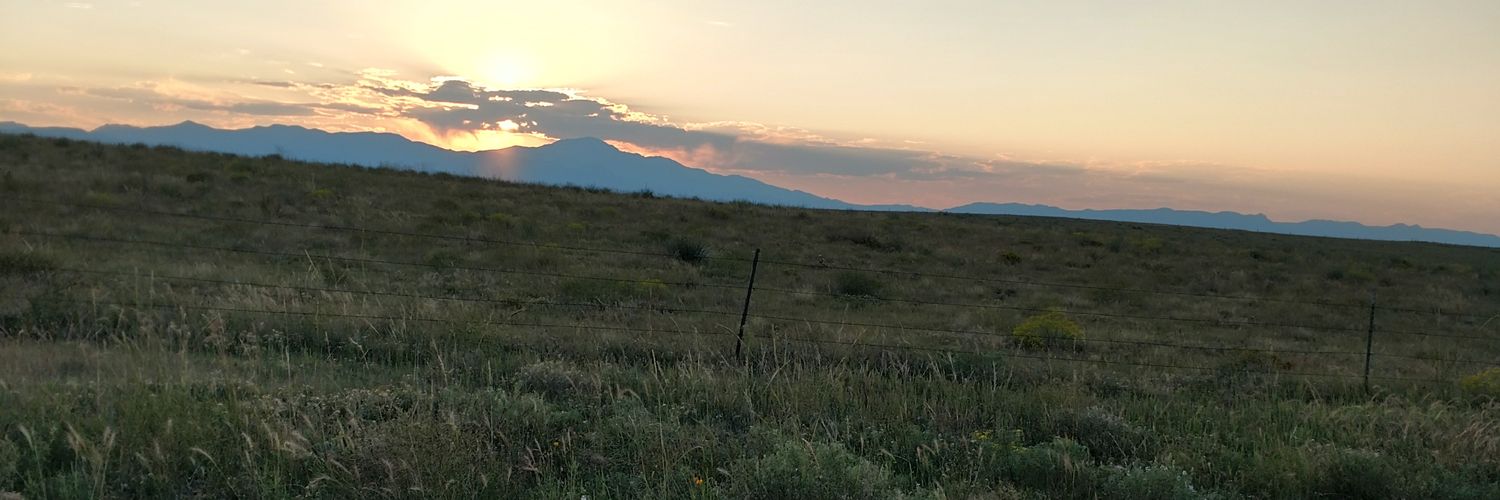 Jennieseeking's profile banner image