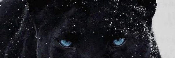 jode55555 Profile Banner