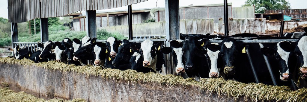 National Milk Records (NMR) banner