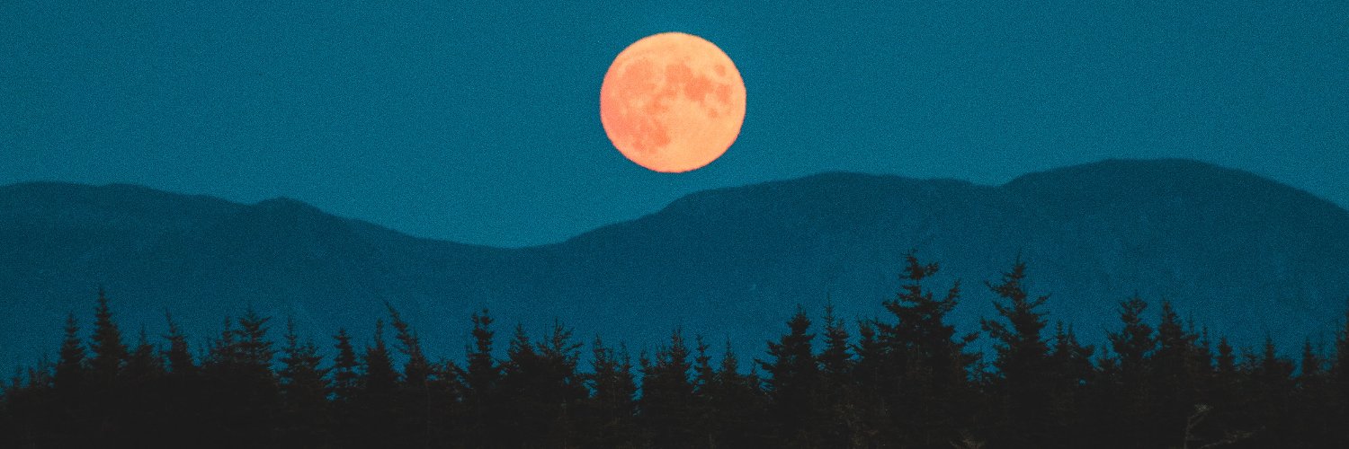 peltingrain_'s profile banner image