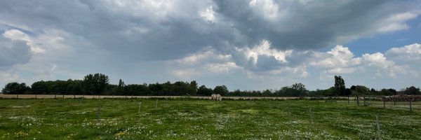 BasDefossez Profile Banner