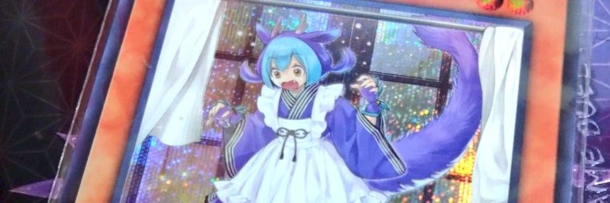 🐵せり🐱 banner