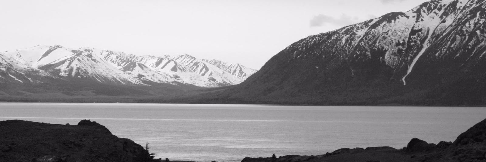 kopfnikker's profile banner image