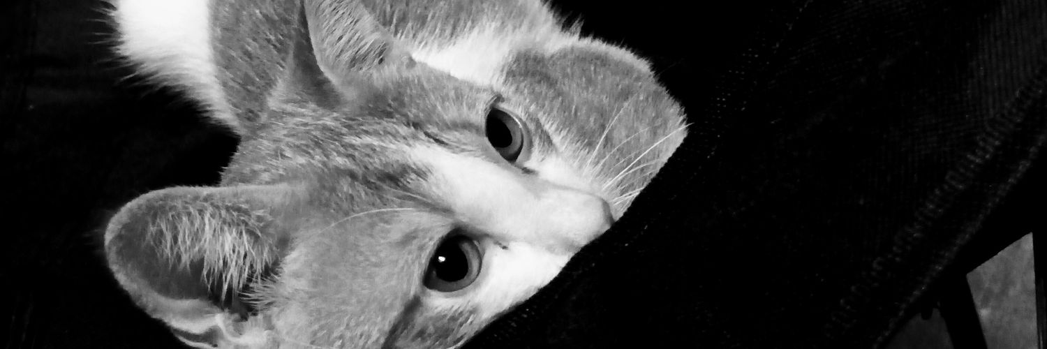 davebarrion's profile banner image