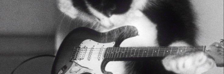 LumaCordeiro4's profile banner image