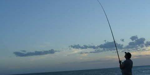 fedema1985's profile banner image