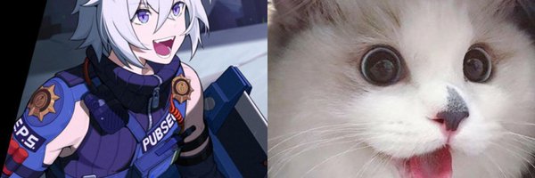 PubSecCat Profile Banner