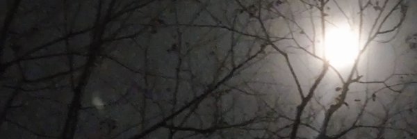 UnsternGarlic Profile Banner