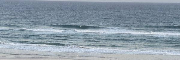 WaltersTenille Profile Banner