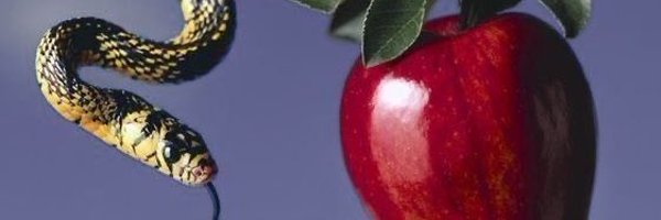 LIBRAL0GY Profile Banner