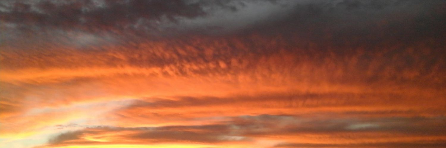 annnee94's profile banner image