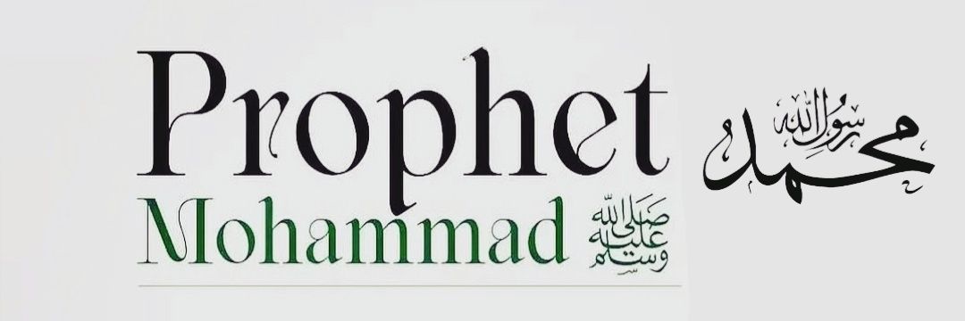saidhamze's profile banner image