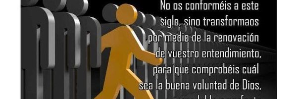 lisney2022 Profile Banner