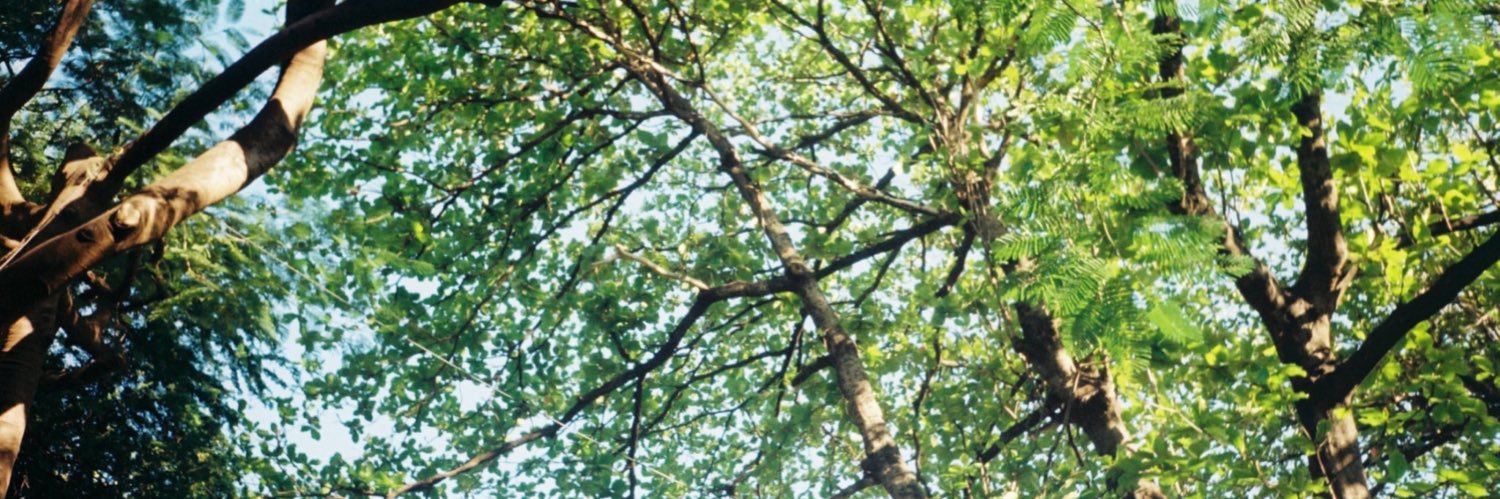 pepwithtxt's profile banner image