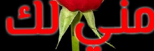 abwalhwawy's profile banner image