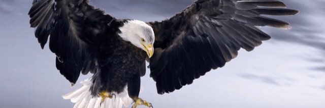 hbugrab's profile banner image