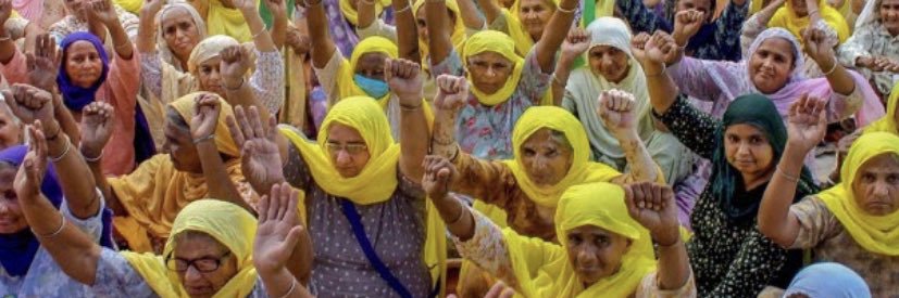 Meena Mangat banner