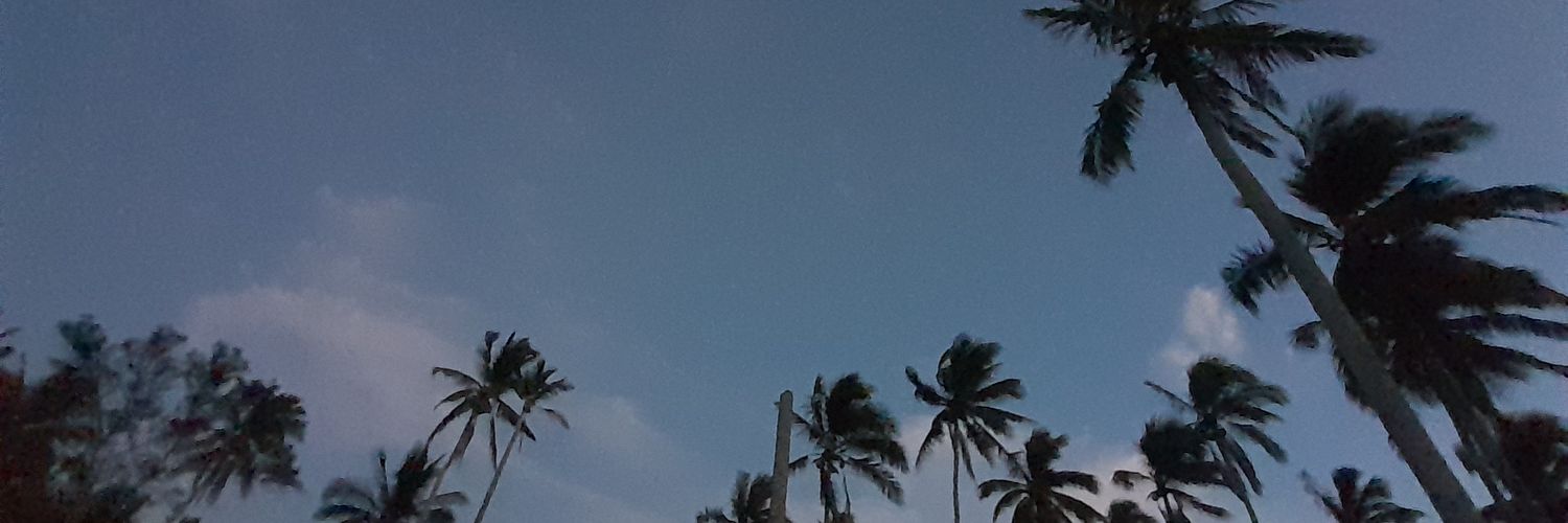 Sany banner